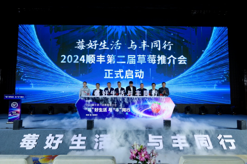 媒体管家官网:运能提升超 20%!顺丰打造“直播+物流”新业态,为丹东草莓讲好品牌故事