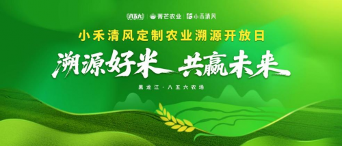 科技兴粮引领突破，东北大米小禾清风加快对接南方消费市场