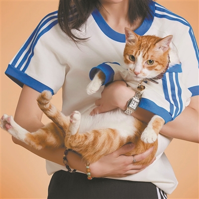 “铲屎官”钱包不保!宠物运动衫受宠 “铲屎官”钱包不保!宠物运动衫受宠