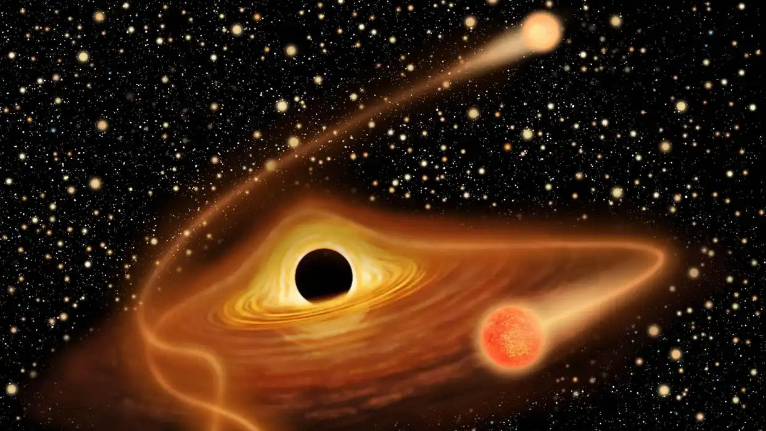 新证据支持中等质量黑洞存在