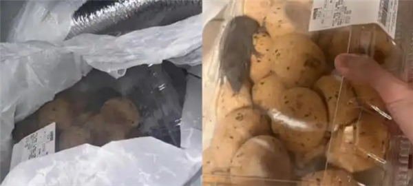 山姆麻薯盒内现活老鼠 当事人：打开那一刻吓蒙了 客服：正在核实
