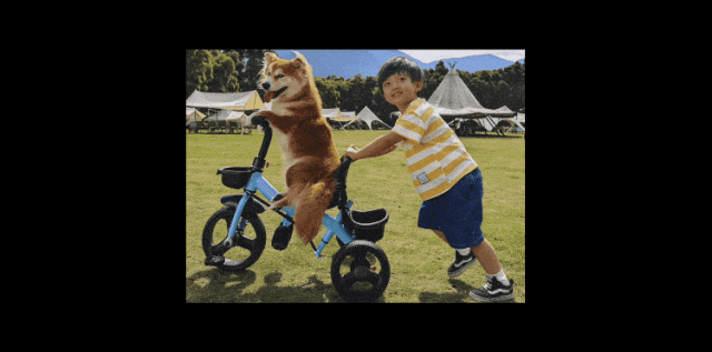 1710931568155182.png 1710931568155182.png